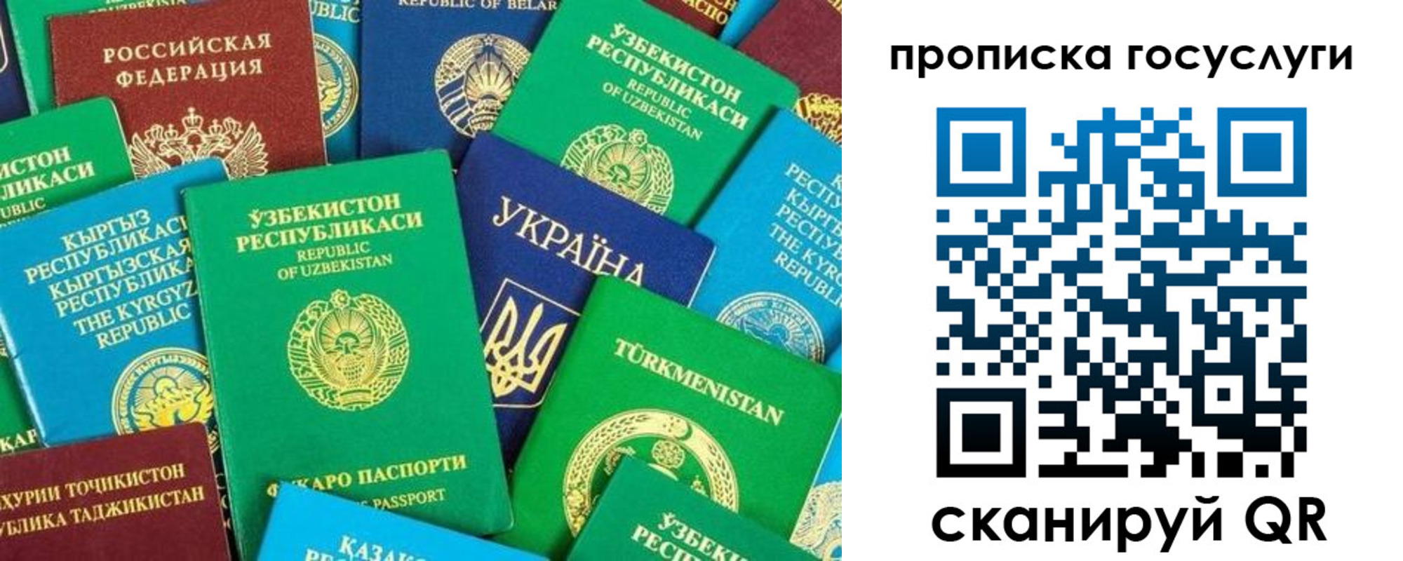 временная регистрация для всех в Куртамыше
